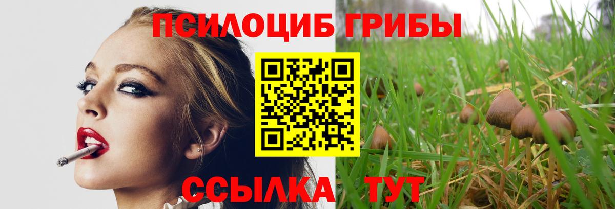 Псилоцибиновые грибы мицелий Сланцы