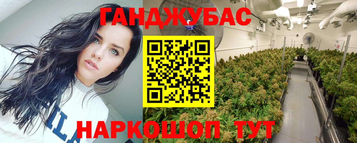 МАРИХУАНА White Widow Сланцы